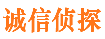 甘孜诚信私家侦探公司